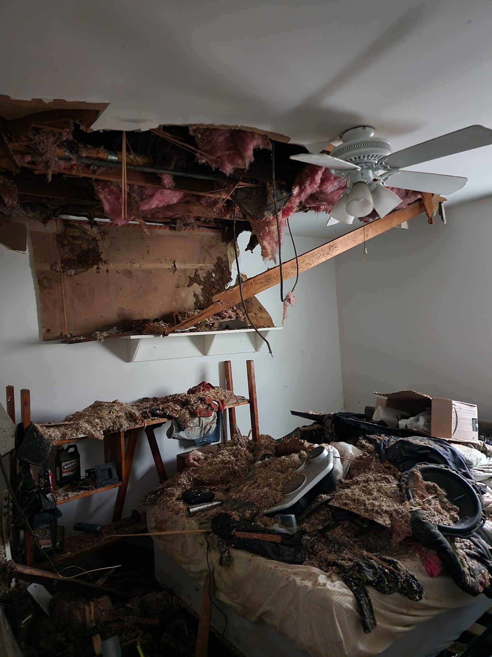 Damage assessment evidence